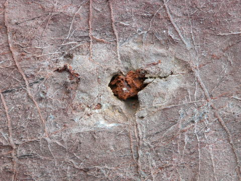 d0045626_20121250.jpg