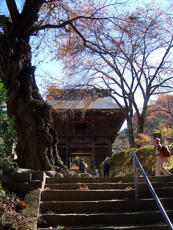 日川渓谷・竜門峡への\"旅\"(2006.11.13)_d0024832_1111095.jpg