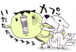 2006.11.14　ダメ犬しつけ王選手権_d0051037_6283670.jpg