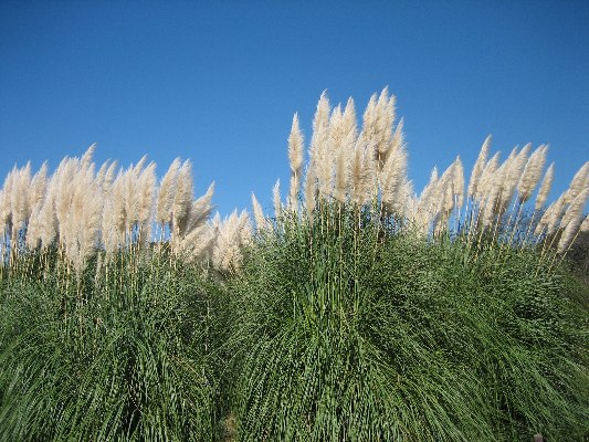 e0082045_20455065.jpg