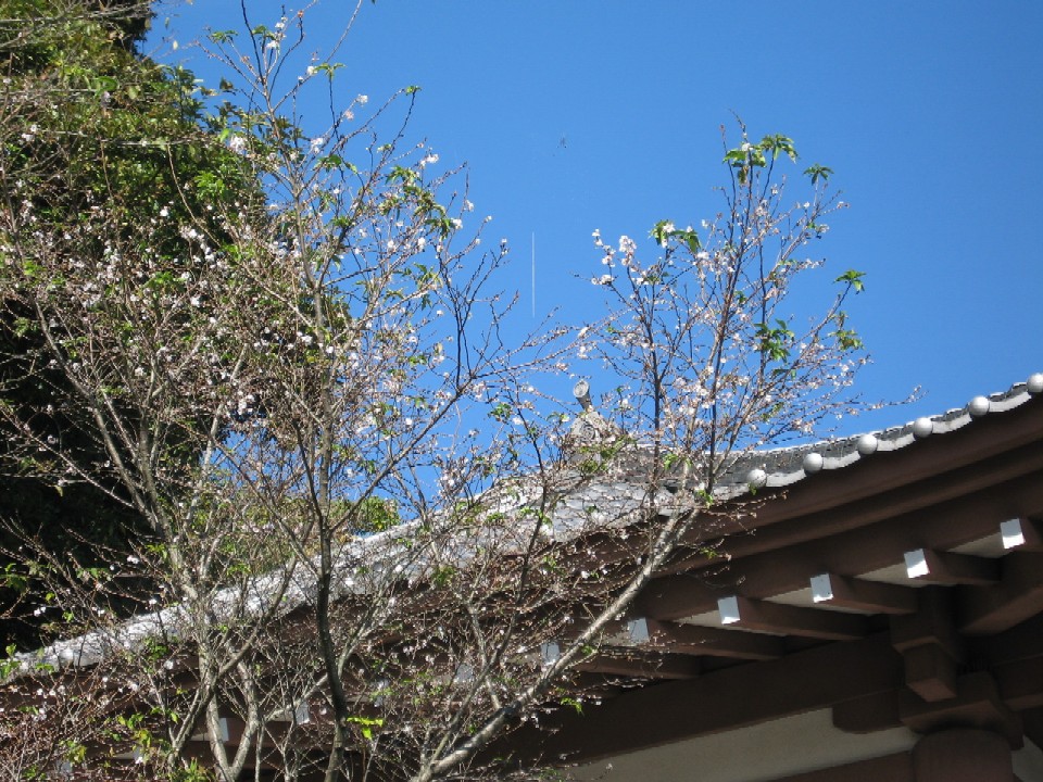 b0009849_10301449.jpg