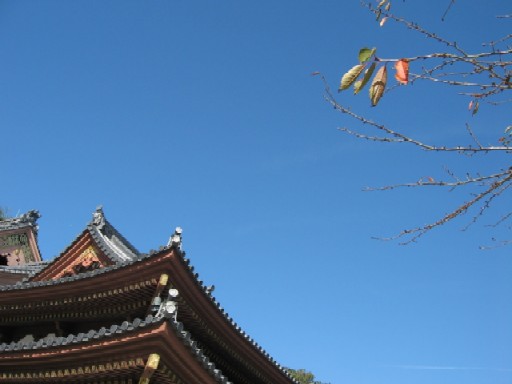 b0009849_10373347.jpg