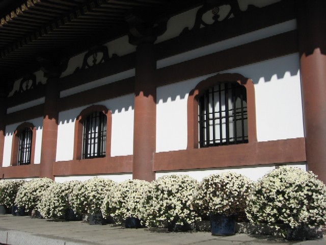 b0009849_10383122.jpg