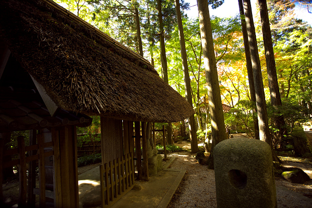 仙石原・長安寺（１１月１３日）_c0057265_1533468.jpg