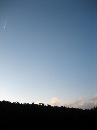 気持ちよい一日_b0016474_22151329.jpg