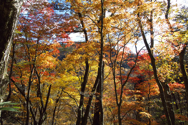 c0054876_6271079.jpg