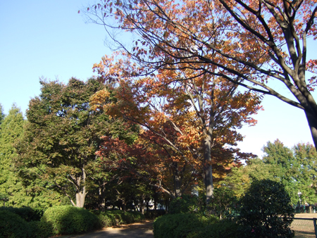 c0064678_1155799.jpg