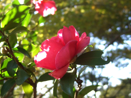 c0064678_1157330.jpg