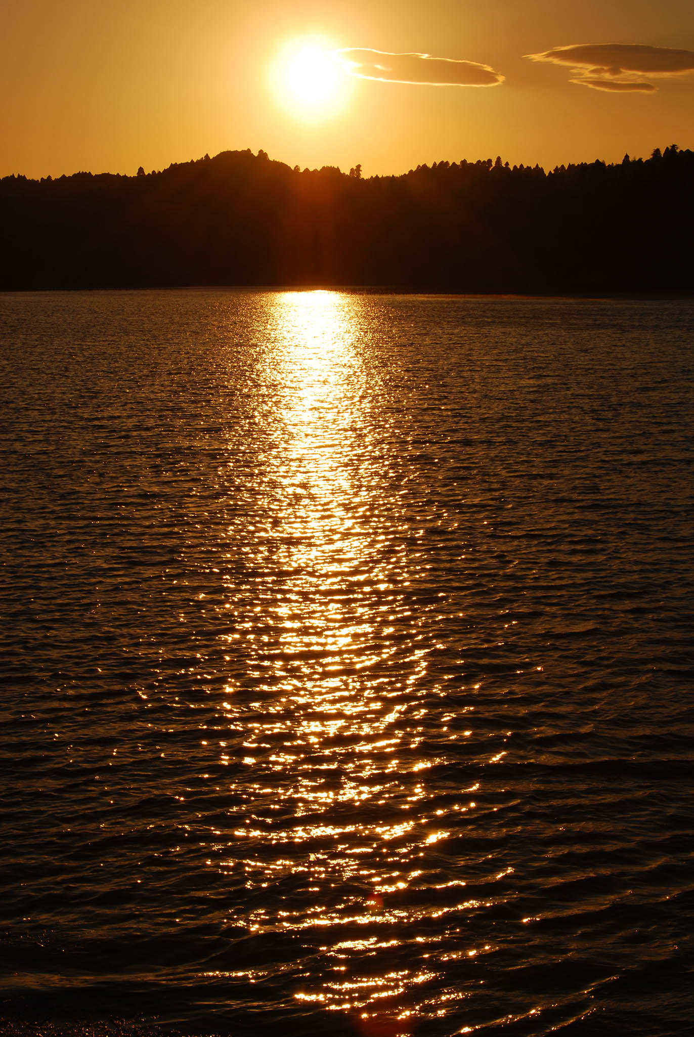 e0071178_2238478.jpg