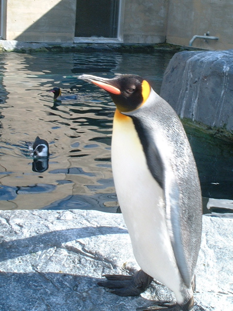 e0005280_22502133.jpg