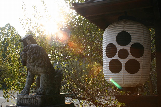 北野天満宮の牛たち_e0061694_19484552.jpg