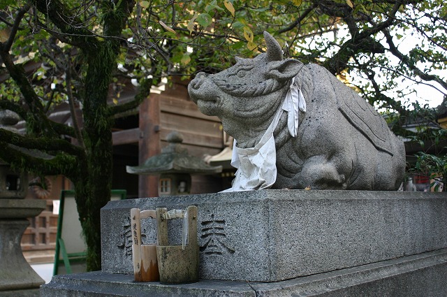 北野天満宮の牛たち_e0061694_1949334.jpg