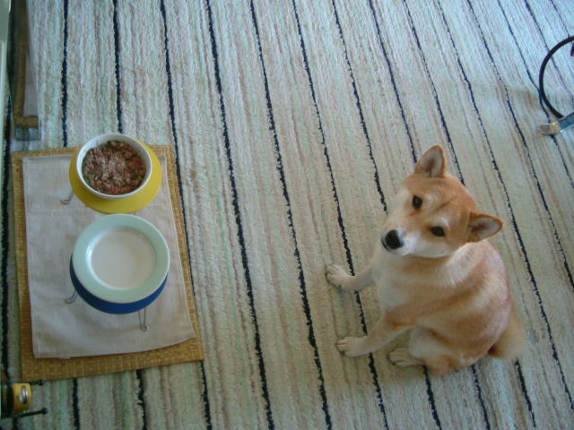 e0090110_932785.jpg