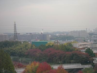 a0088412_96060.jpg