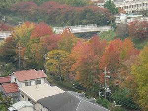 a0088412_961279.jpg