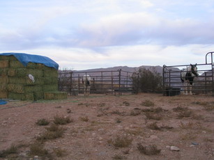 f0105318_7552918.jpg