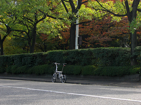 e0089826_22323379.jpg