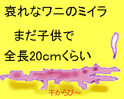 d0039443_1021185.gif