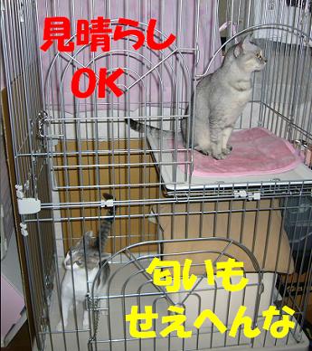 2段ゲージ_f0002743_156273.jpg
