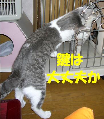2段ゲージ_f0002743_156539.jpg