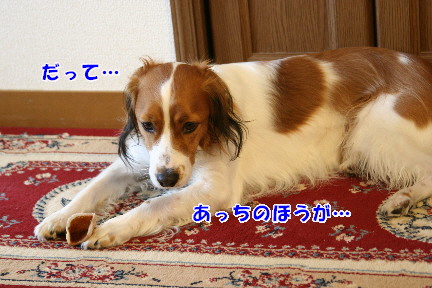 d0013149_0321246.jpg