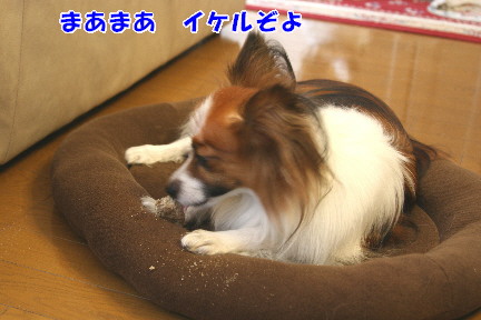 d0013149_06286.jpg