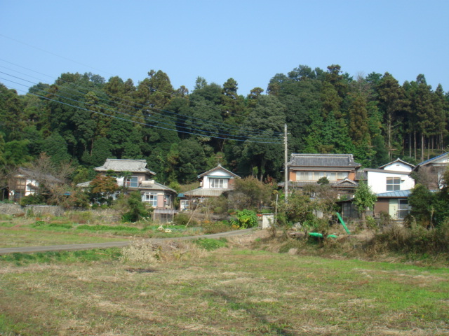 d0063563_217856.jpg