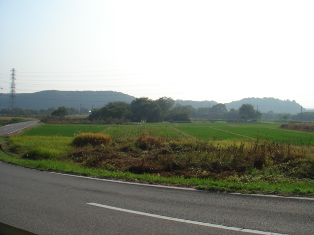 d0063563_219474.jpg