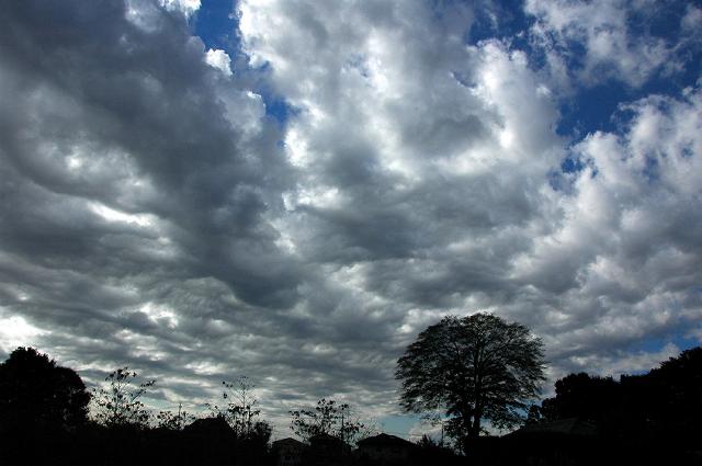 a0044076_1771130.jpg