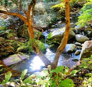 c0078480_17465824.jpg