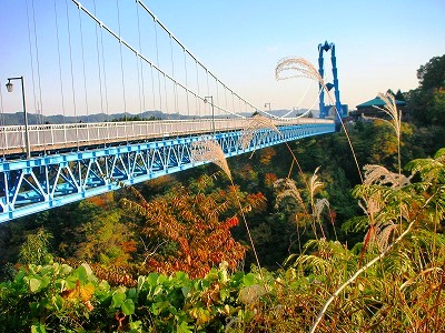 c0078480_18425971.jpg