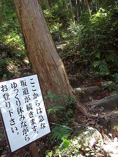 孤独に黙々と熊野古道を歩く ☆関西ひとり旅2☆_e0039787_2253296.jpg