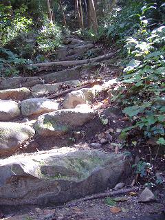 孤独に黙々と熊野古道を歩く ☆関西ひとり旅2☆_e0039787_22563665.jpg