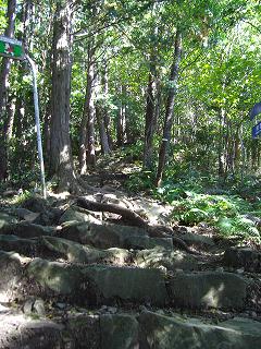 孤独に黙々と熊野古道を歩く ☆関西ひとり旅2☆_e0039787_23211799.jpg