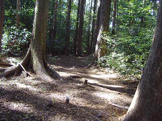 孤独に黙々と熊野古道を歩く ☆関西ひとり旅2☆_e0039787_23252928.jpg