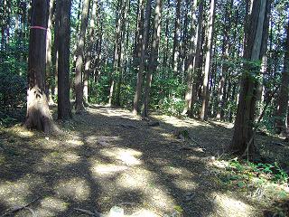 孤独に黙々と熊野古道を歩く ☆関西ひとり旅2☆_e0039787_23263821.jpg