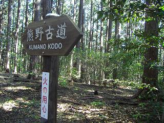 孤独に黙々と熊野古道を歩く ☆関西ひとり旅2☆_e0039787_2327069.jpg