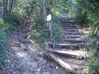 孤独に黙々と熊野古道を歩く ☆関西ひとり旅2☆_e0039787_23292026.jpg