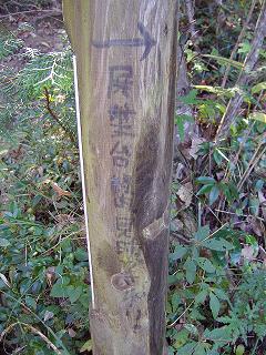 孤独に黙々と熊野古道を歩く ☆関西ひとり旅2☆_e0039787_2330043.jpg
