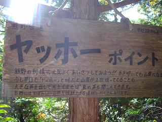 孤独に黙々と熊野古道を歩く ☆関西ひとり旅2☆_e0039787_2357362.jpg