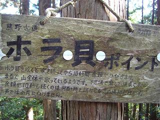 孤独に黙々と熊野古道を歩く ☆関西ひとり旅2☆_e0039787_23585193.jpg