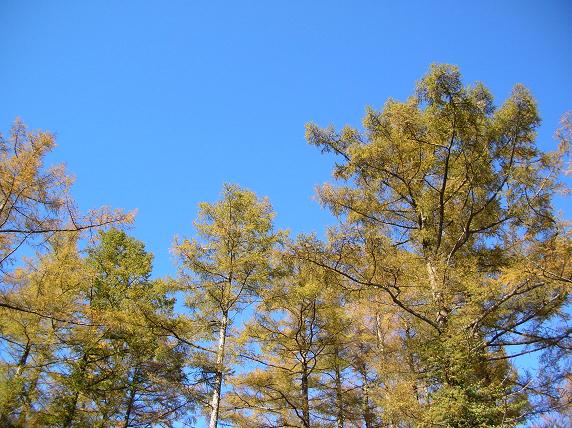 f0063887_7144463.jpg