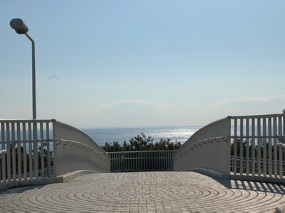 f0062102_2004560.jpg