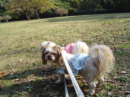 雨上がりの森林公園で・・・_c0011204_2224516.jpg