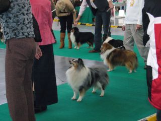 e0039206_1244112.jpg