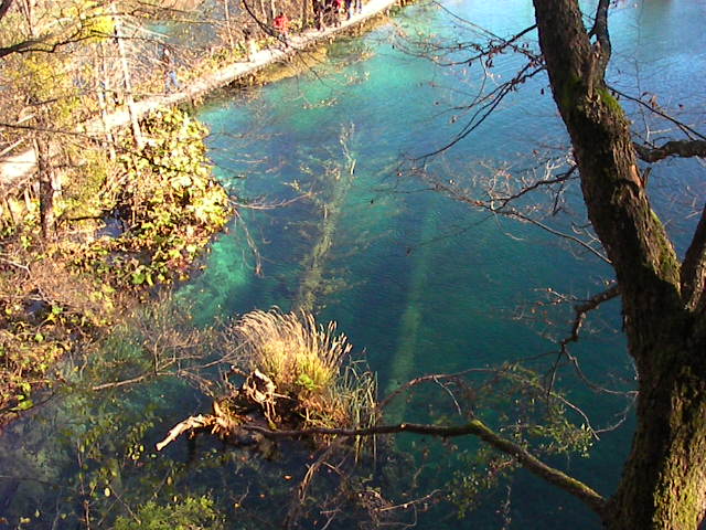 f0038407_61584.jpg