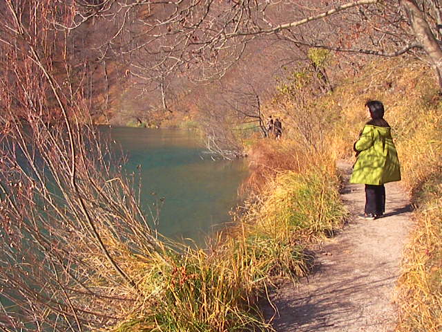 f0038407_66147.jpg