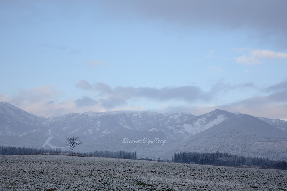 c0073613_18241314.jpg