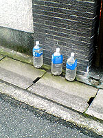 効果無し?_b0080720_11535867.jpg
