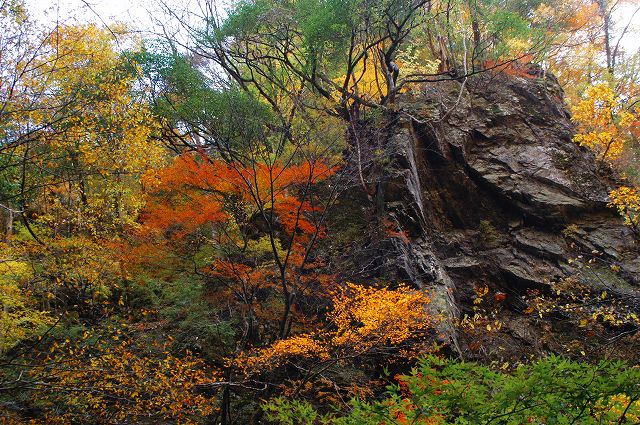 小川谷(日原) 紅葉_c0001937_21103232.jpg